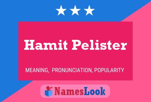 Постер имени Hamit Pelister