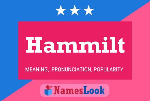 Постер имени Hammilt