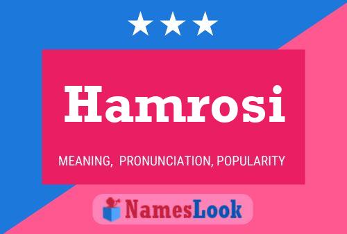 Постер имени Hamrosi