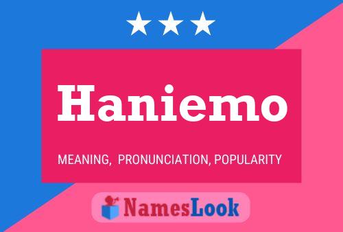 Постер имени Haniemo