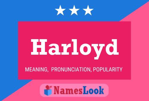 Постер имени Harloyd