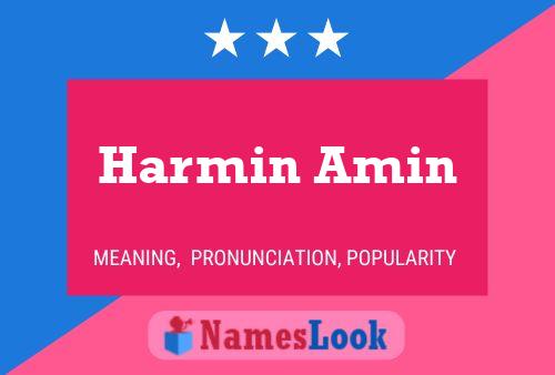 Постер имени Harmin Amin