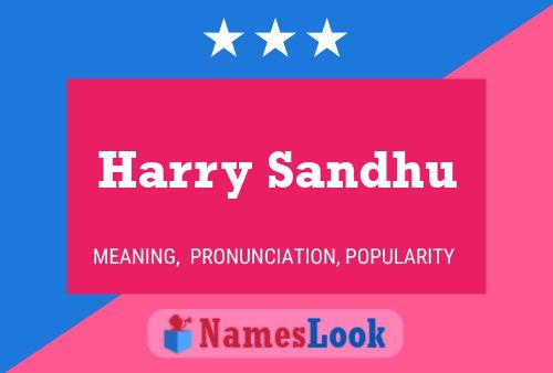 Постер имени Harry Sandhu