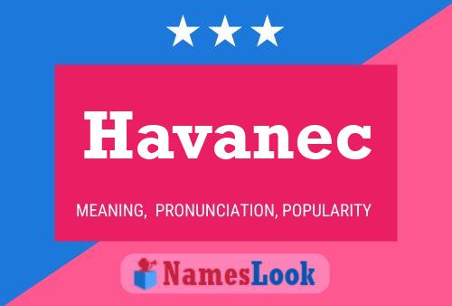 Постер имени Havanec