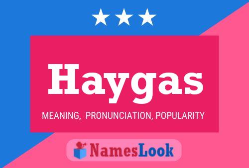 Постер имени Haygas