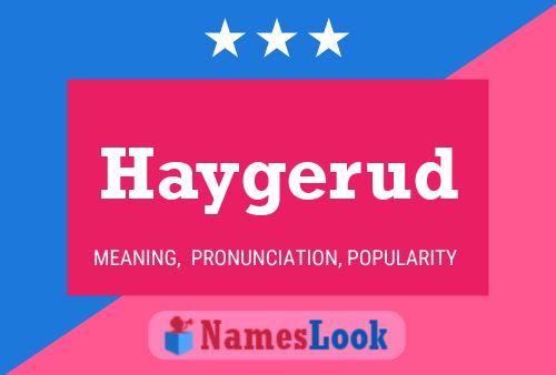 Постер имени Haygerud