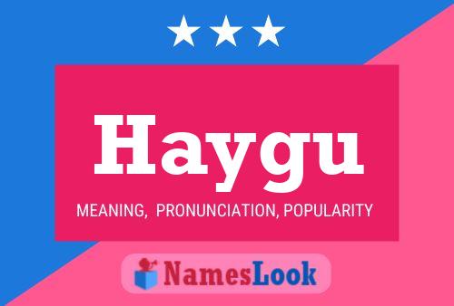 Постер имени Haygu