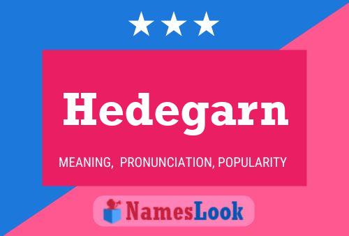 Постер имени Hedegarn