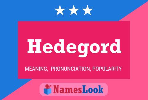 Постер имени Hedegord