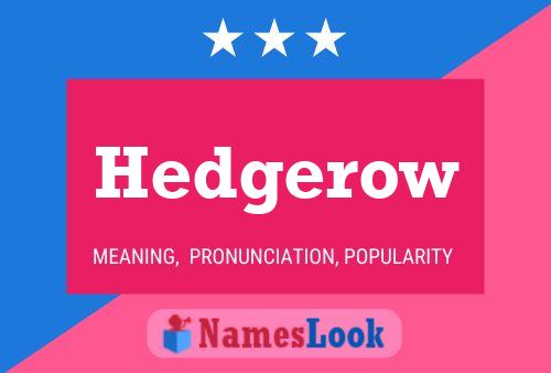 Постер имени Hedgerow