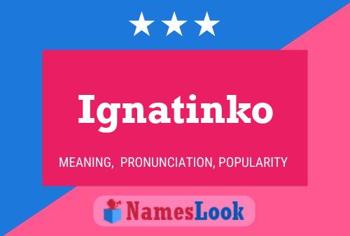 Постер имени Ignatinko