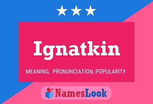 Постер имени Ignatkin