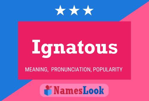 Постер имени Ignatous