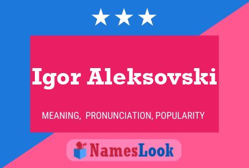 Постер имени Igor Aleksovski