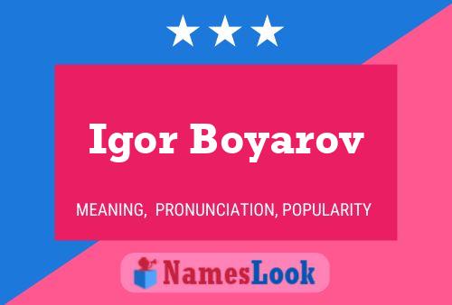 Постер имени Igor Boyarov