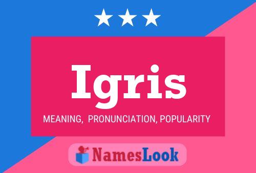 Постер имени Igris