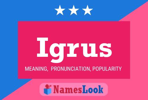 Постер имени Igrus