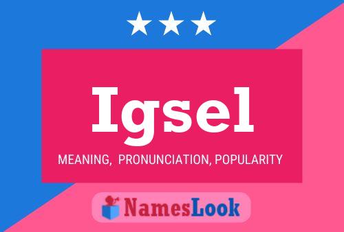 Постер имени Igsel