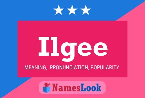 Постер имени Ilgee