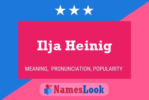 Постер имени Ilja Heinig