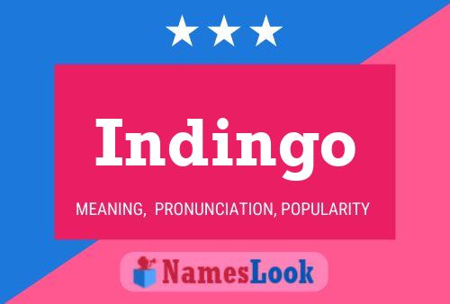 Постер имени Indingo