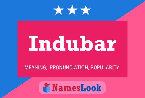 Постер имени Indubar