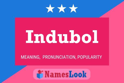 Постер имени Indubol