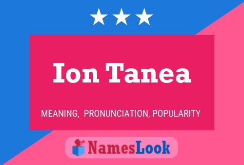 Постер имени Ion Tanea