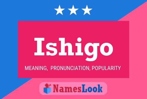 Постер имени Ishigo