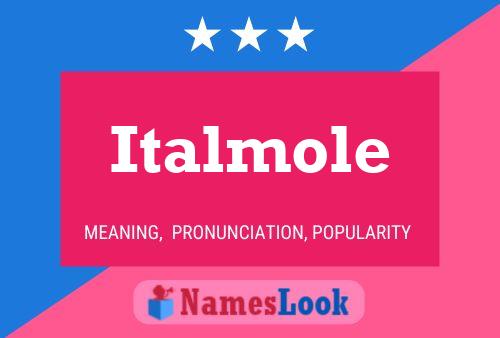 Постер имени Italmole