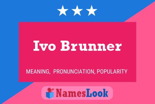 Постер имени Ivo Brunner