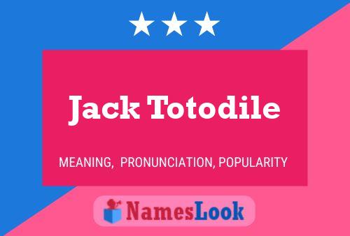 Постер имени Jack Totodile