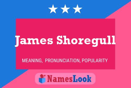 Постер имени James Shoregull