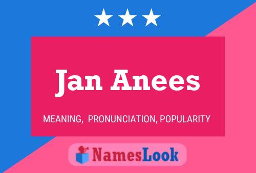 Постер имени Jan Anees