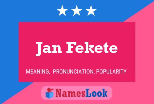 Постер имени Jan Fekete