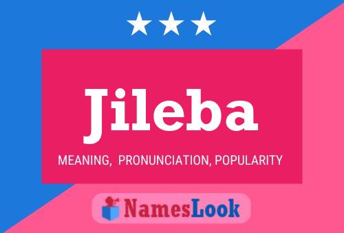 Постер имени Jileba