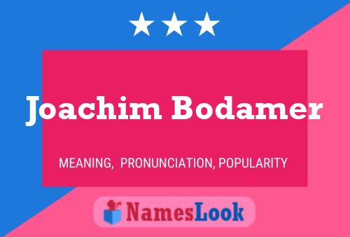 Постер имени Joachim Bodamer