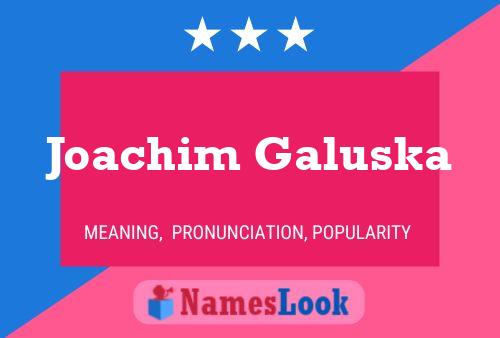 Постер имени Joachim Galuska