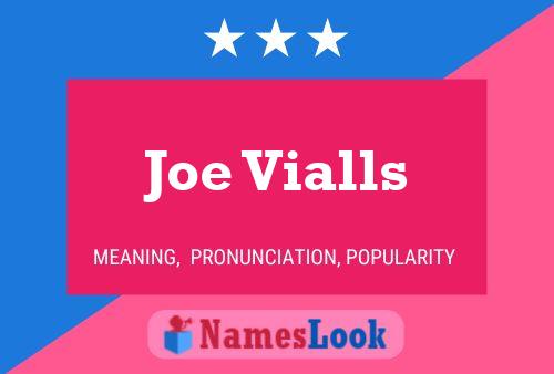 Постер имени Joe Vialls