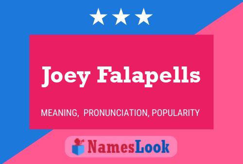 Постер имени Joey Falapells