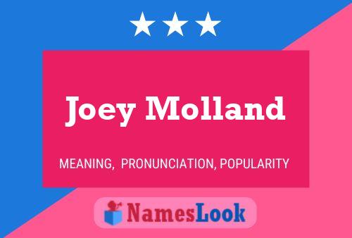 Постер имени Joey Molland