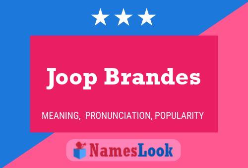 Постер имени Joop Brandes