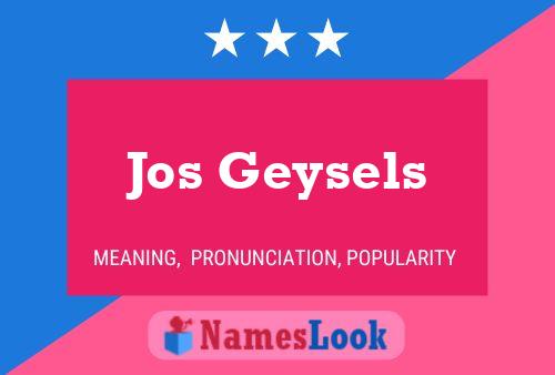 Постер имени Jos Geysels