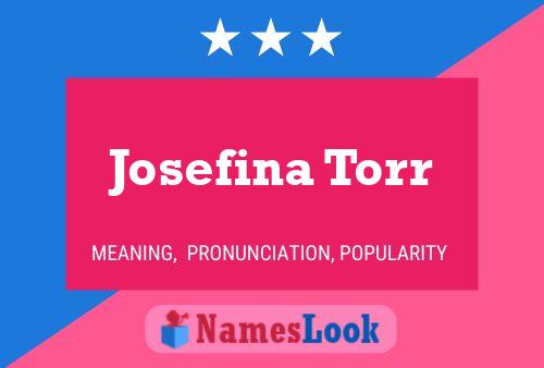 Постер имени Josefina Torr