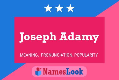 Постер имени Joseph Adamy