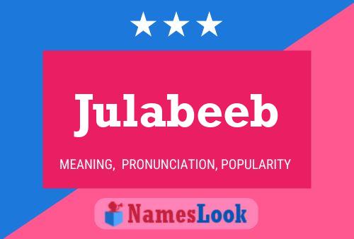 Постер имени Julabeeb