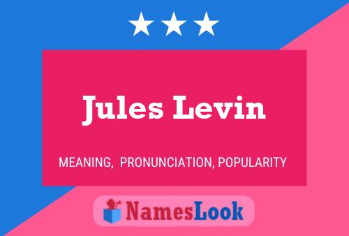 Постер имени Jules Levin