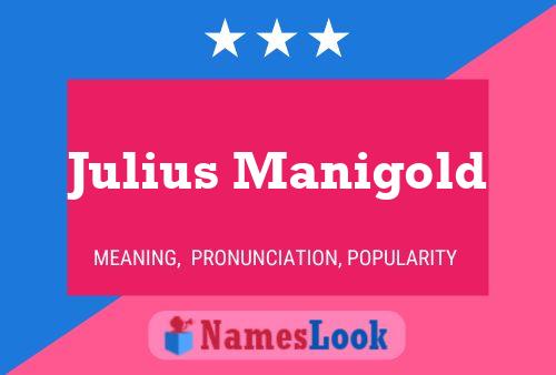 Постер имени Julius Manigold