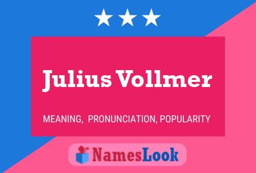 Постер имени Julius Vollmer