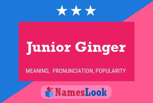 Постер имени Junior Ginger